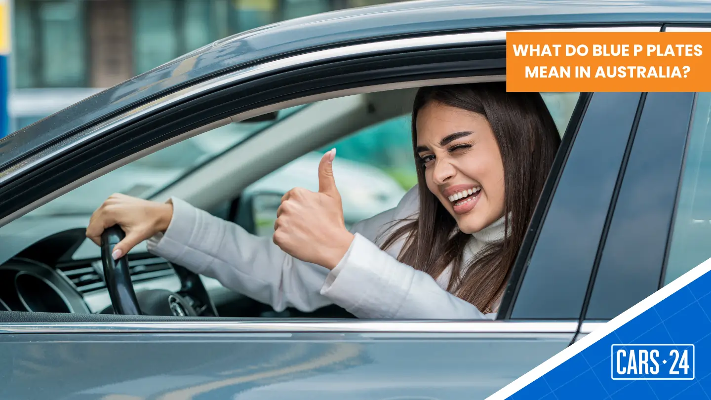 What do Blue P Plates mean in Australia?