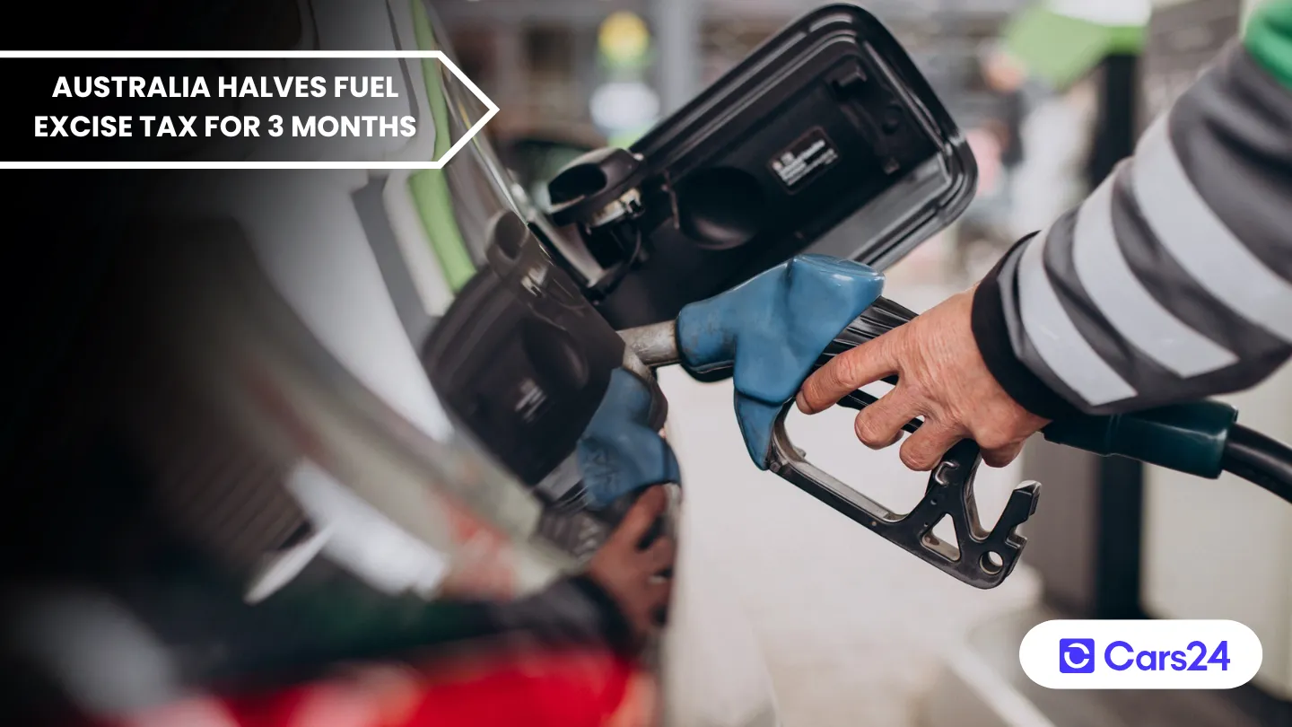 Petrol prices to drop as government halves fuel excise tax banner