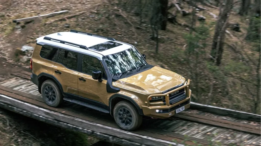 Toyota prado in the wild