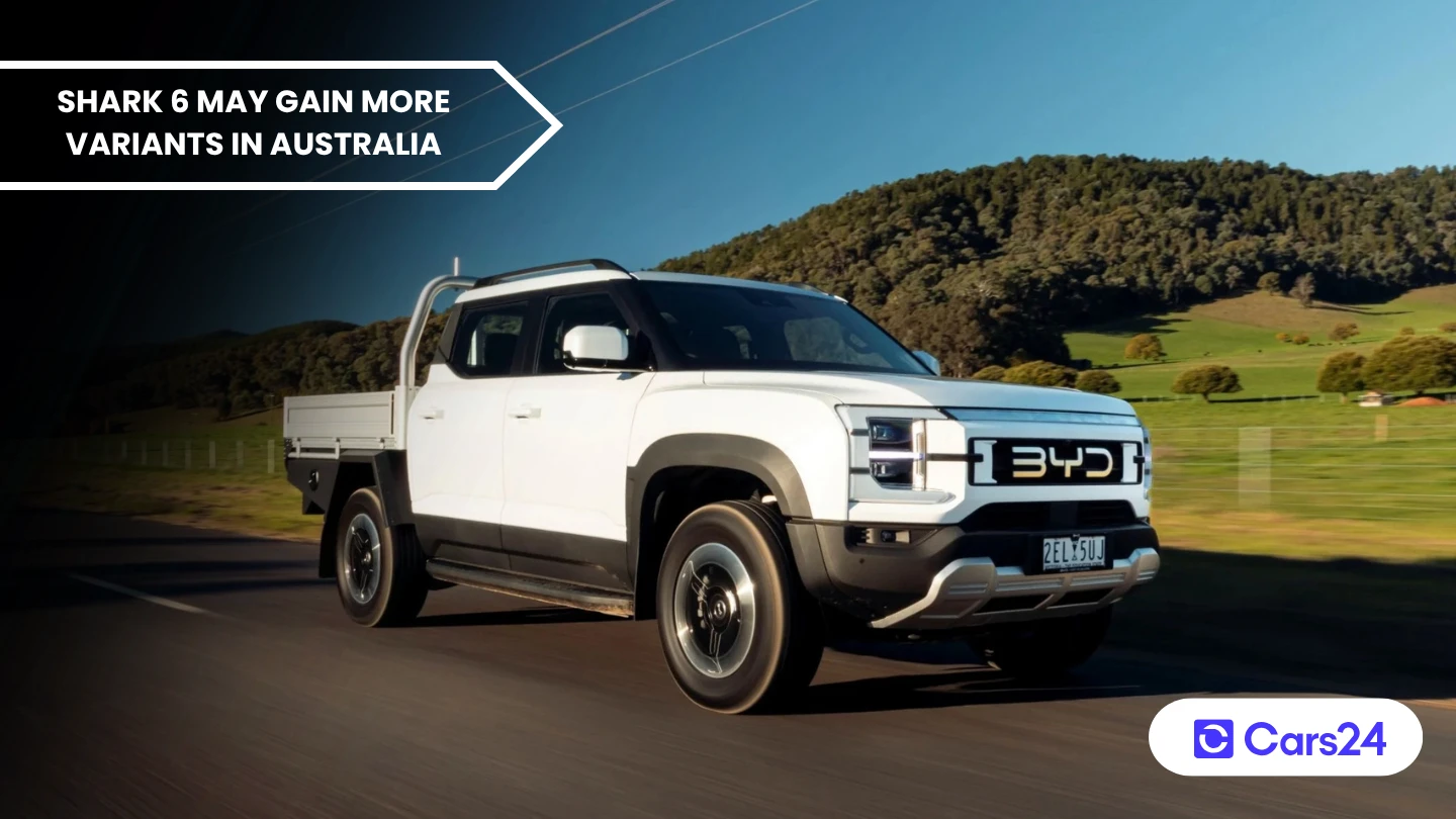 BYD Shark 6 ute range may gain more variants in Australia banner